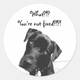 Adesivo Redondo Você não está consertado