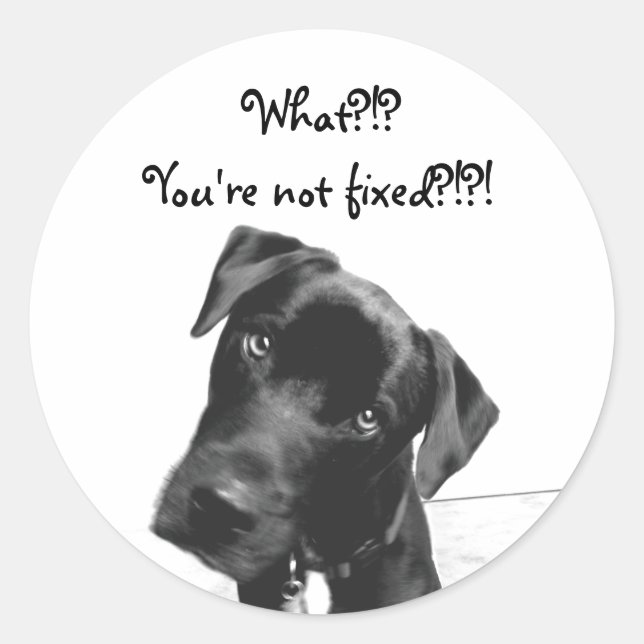 Adesivo Redondo Você não está consertado (Frente)