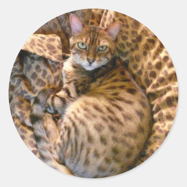 Adesivo Redondo Você pode me ver? (Frente)