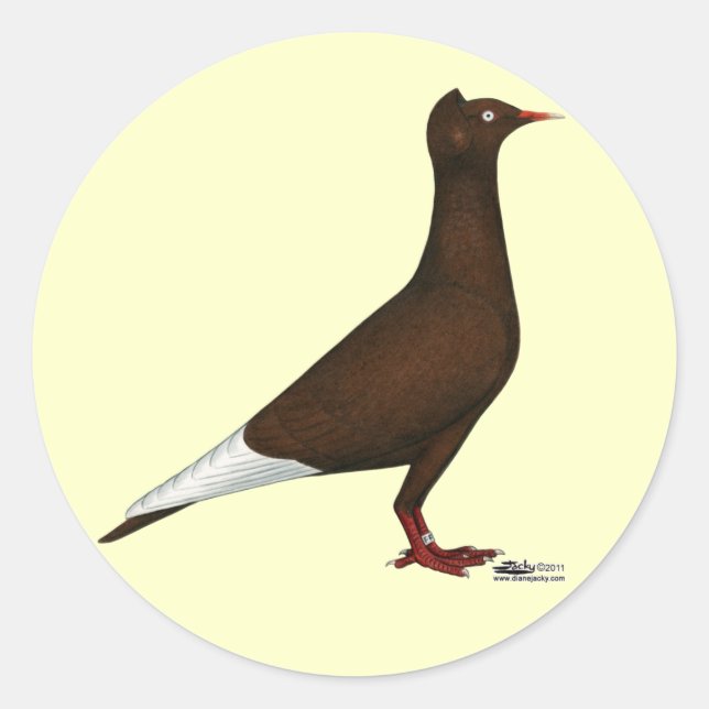 Adesivo Redondo Voo Boné de Voo Pombo (Frente)