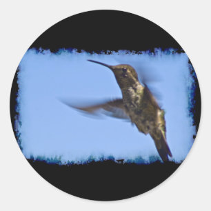 Adesivo Redondo Voo do Hummingbird