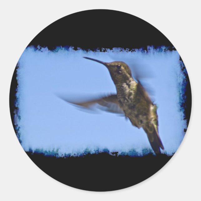 Adesivo Redondo Voo do Hummingbird (Frente)