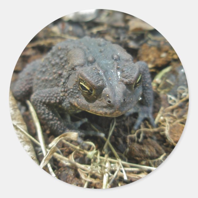 Adesivo Redondo Vovô Toad Sticker (Frente)