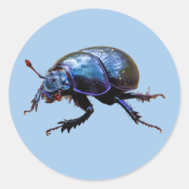 Adesivo Redondo Waldmistkäfer Dor Beetle Blauer Dung Bug T-Shirt (Frente)
