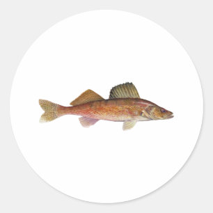 Adesivo Redondo Walleye