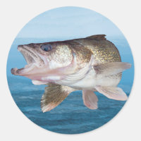 Walleye Fisheries