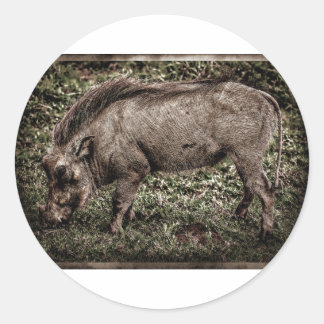 Adesivo Redondo Warthog.