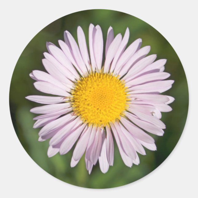 Adesivo Redondo Washington, Cascade Range, Monte Baker (Frente)