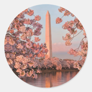 Adesivo Redondo Washington Monument and Cherry Blossoms Sticker