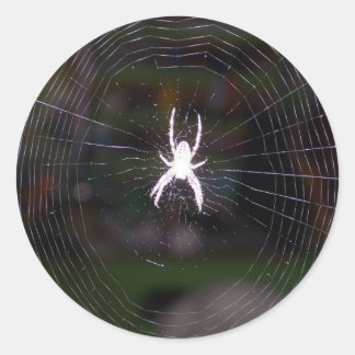 Adesivo Redondo Web Aranhas