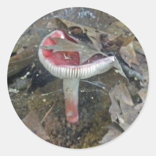 Adesivo Redondo Web Stickers Red Mushroom e Folhas