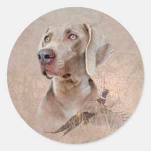Adesivo Redondo Weimaraner Poster Canvas Imprimir Tapeçaria Acrí