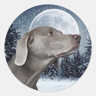 Adesivo Redondo Weimaraner Sticker