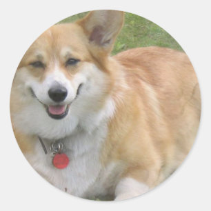 Adesivo Redondo Welsh Corgi Sticker
