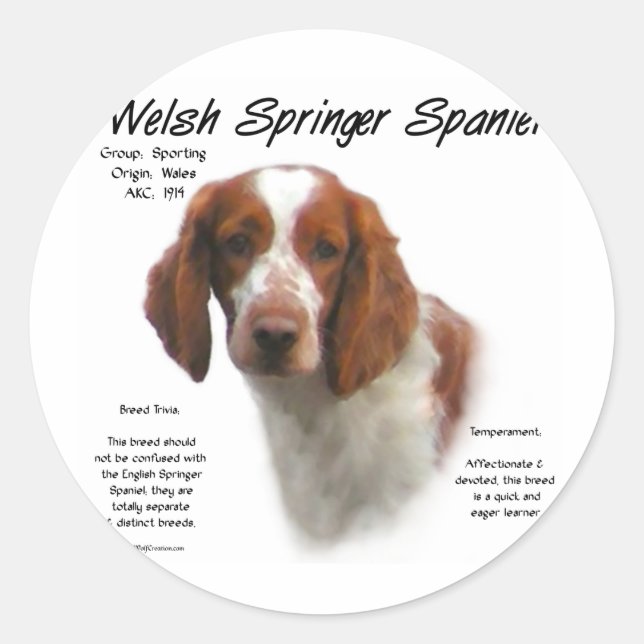 Adesivo Redondo Welsh Springer Spaniel History Design (Frente)