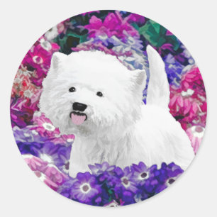 Adesivo Redondo West Highland White Terrier Pintando Arte Canina