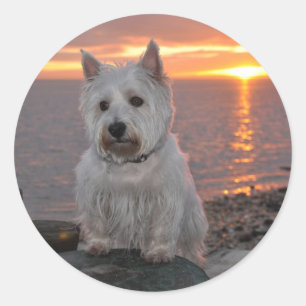Adesivo Redondo Westie Sunset