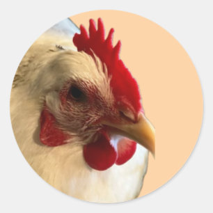 Adesivo Redondo White Australorp Hen Sticker