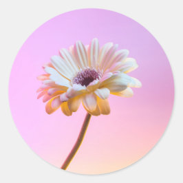 Adesivo Redondo White Gerbera Daisy Sticker
