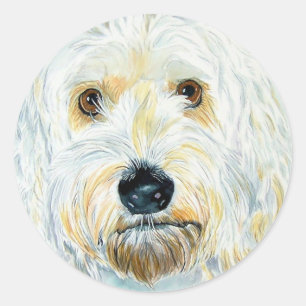 Adesivo Redondo White Labradoodle Maggie Stickers
