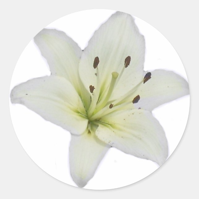 Adesivo Redondo White Lily (Frente)
