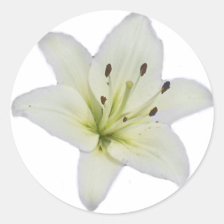 Adesivo Redondo White Lily
