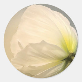 Adesivo Redondo White Poppy