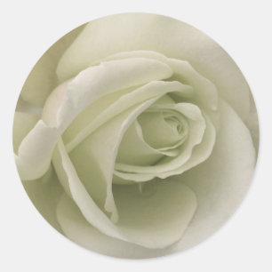 Adesivo Redondo White Rose Sticker