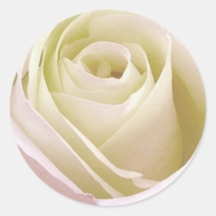 Adesivo Redondo White Rose Sticker