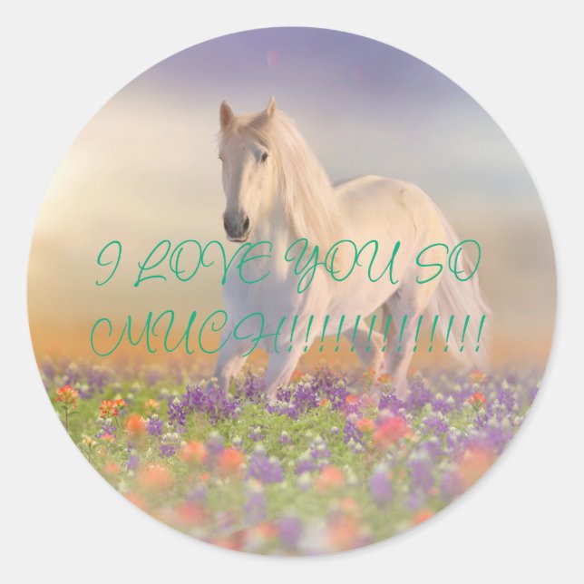 ADESIVO REDONDO WHITE ÚNICO HORSIE PONY (Frente)