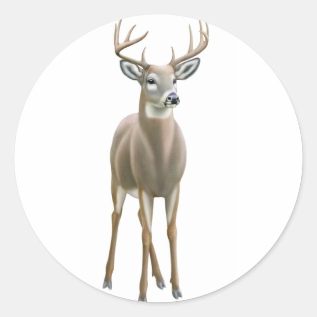 Adesivo Redondo Whitetail Buck Sticker (Frente)