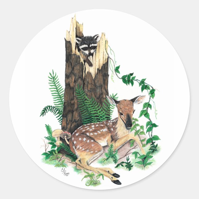 Adesivo Redondo Whitetail Deer Fawn e Raccoon Sticker (Frente)