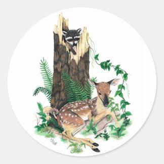 Adesivo Redondo Whitetail Deer Fawn e Raccoon Sticker