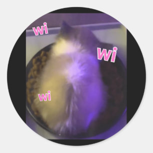 Adesivo Redondo Wi Gato Gatinho Gen Z Humor Engraçado Wi Gatinho C