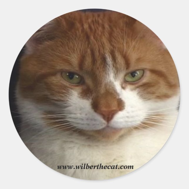 Adesivo Redondo Wilber Sticker (Frente)