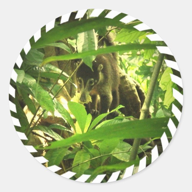 Adesivo Redondo Wild Coati Stickers (Frente)