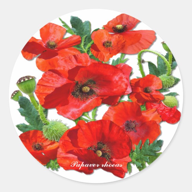 ADESIVO REDONDO WILD RED POPPY (Frente)