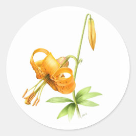 Adesivo Redondo Wild Tiger Lily