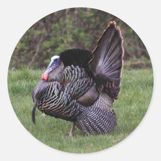 Adesivo Redondo Wild Turkey (Frente)