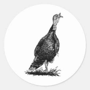 Adesivo Redondo Wild Turkey (line art)