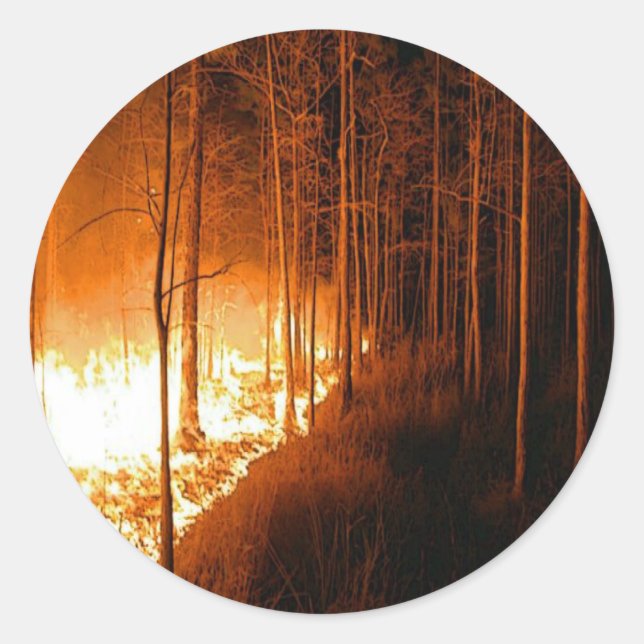 Adesivo Redondo Wildfire Blaze (Frente)