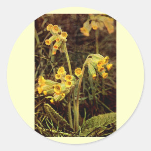 Adesivo Redondo Wildflower: Cowslip