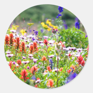 Adesivo Redondo Wildflowers
