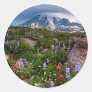Adesivo Redondo Wildflowers