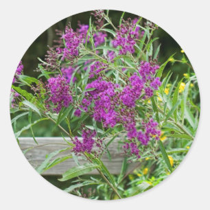 Adesivo Redondo Wildflowers roxos do Ironweed - gigantea de