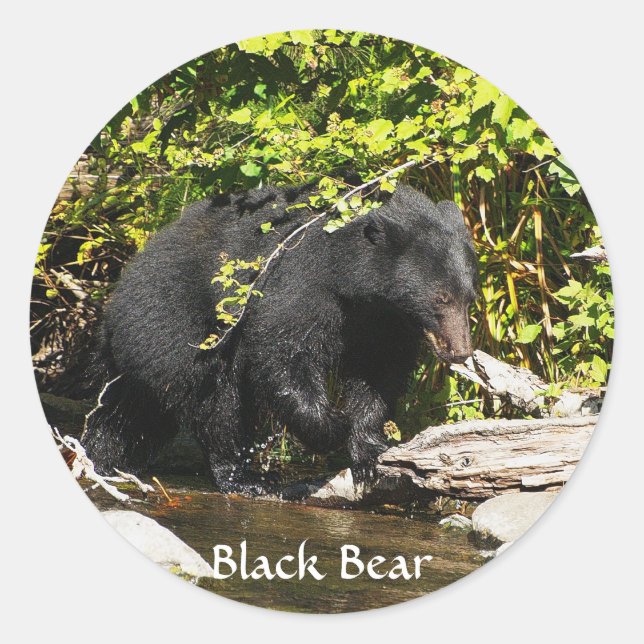 Adesivo Redondo Wildlife Bears Design (Frente)