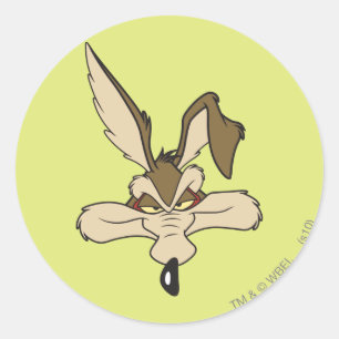 Adesivo Redondo Wile E. Coyote Atirou Na Cabeça