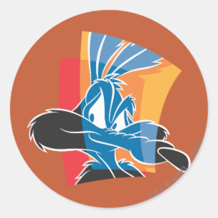 Adesivo Redondo WILE E. COYOTE™ Express 22