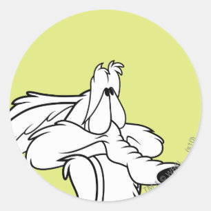 Adesivo Redondo WILE E. COYOTE™ Procurando