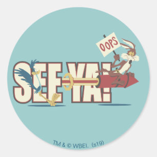 Adesivo Redondo WILE E. COYOTE™ Rocketing Past ROAD RUNNER™